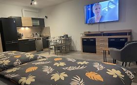 1-Room Apartment Center Rajecke Teplice