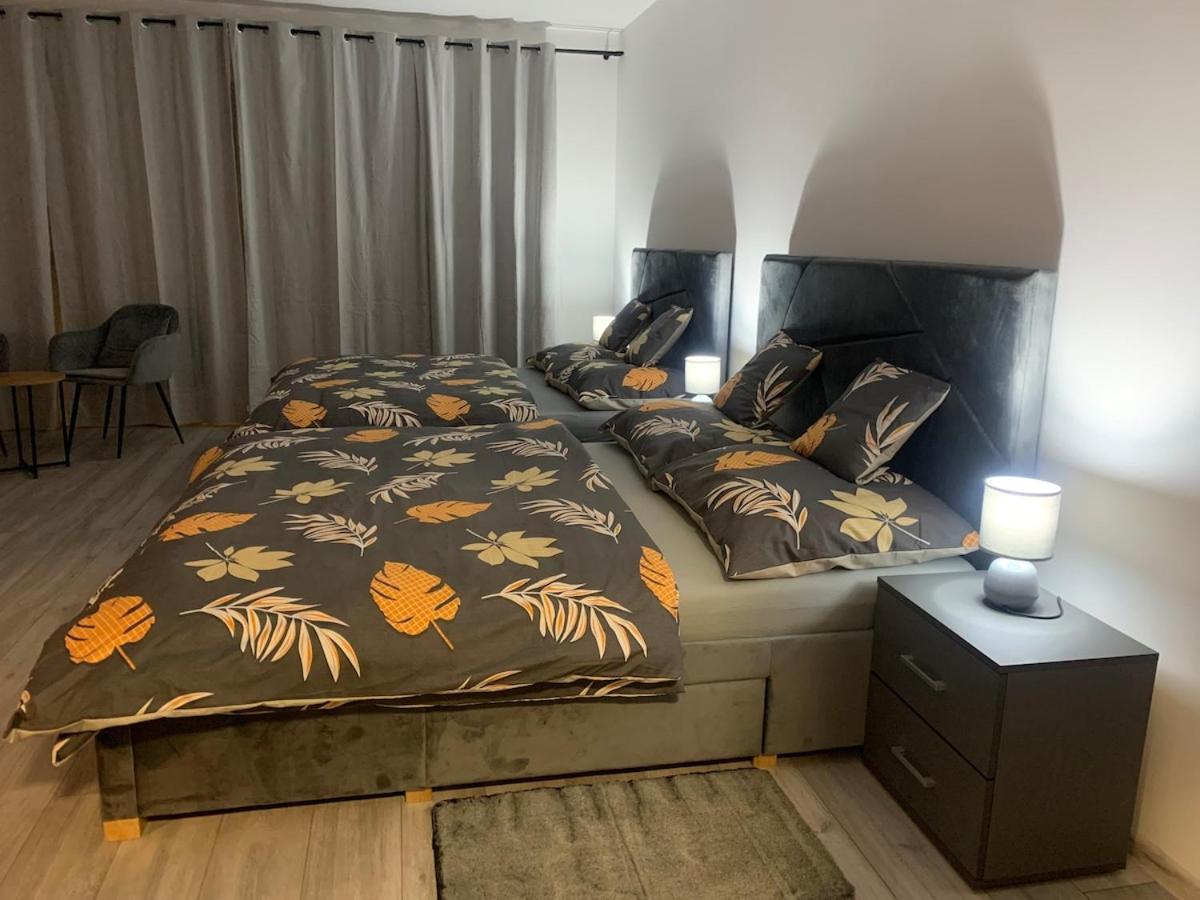 1-Room Apartment Center Rajecké Teplice Exteriér fotografie