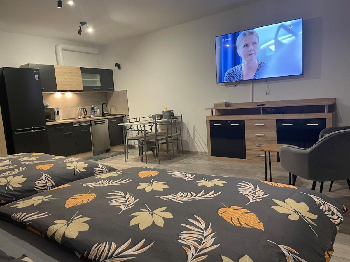 1-Room Apartment Center Rajecké Teplice Exteriér fotografie